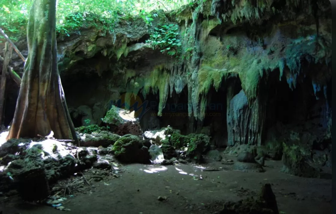 Goa Lanang  (puspita)