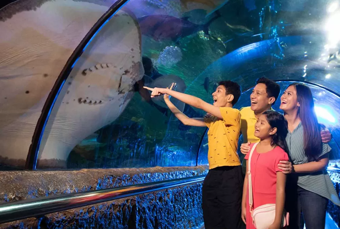 Promo Akhir Tahun Ancol (puspita)