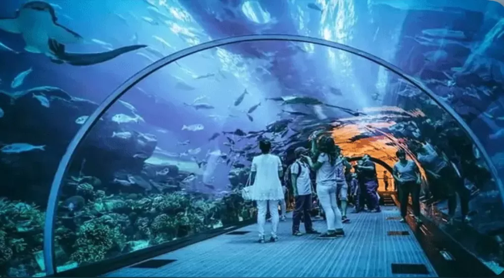Jakarta Aquarium Jadi Destinasi Tempat untuk Liburan Nataru (puspita)