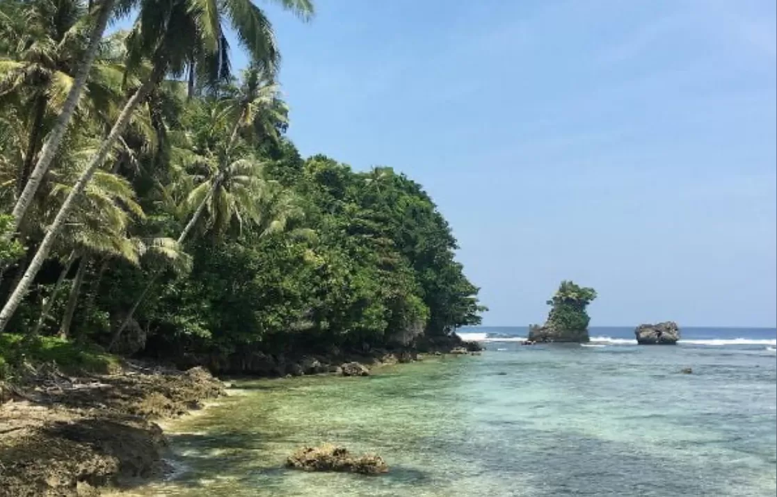 Pulau Pisang (puspita)