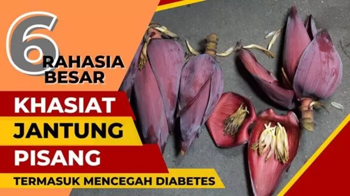 JANGAN ABAIKAN BAGIAN INI Manfaat Luar Biasa Jantung Pisang Rahasia Kesehatan Yang