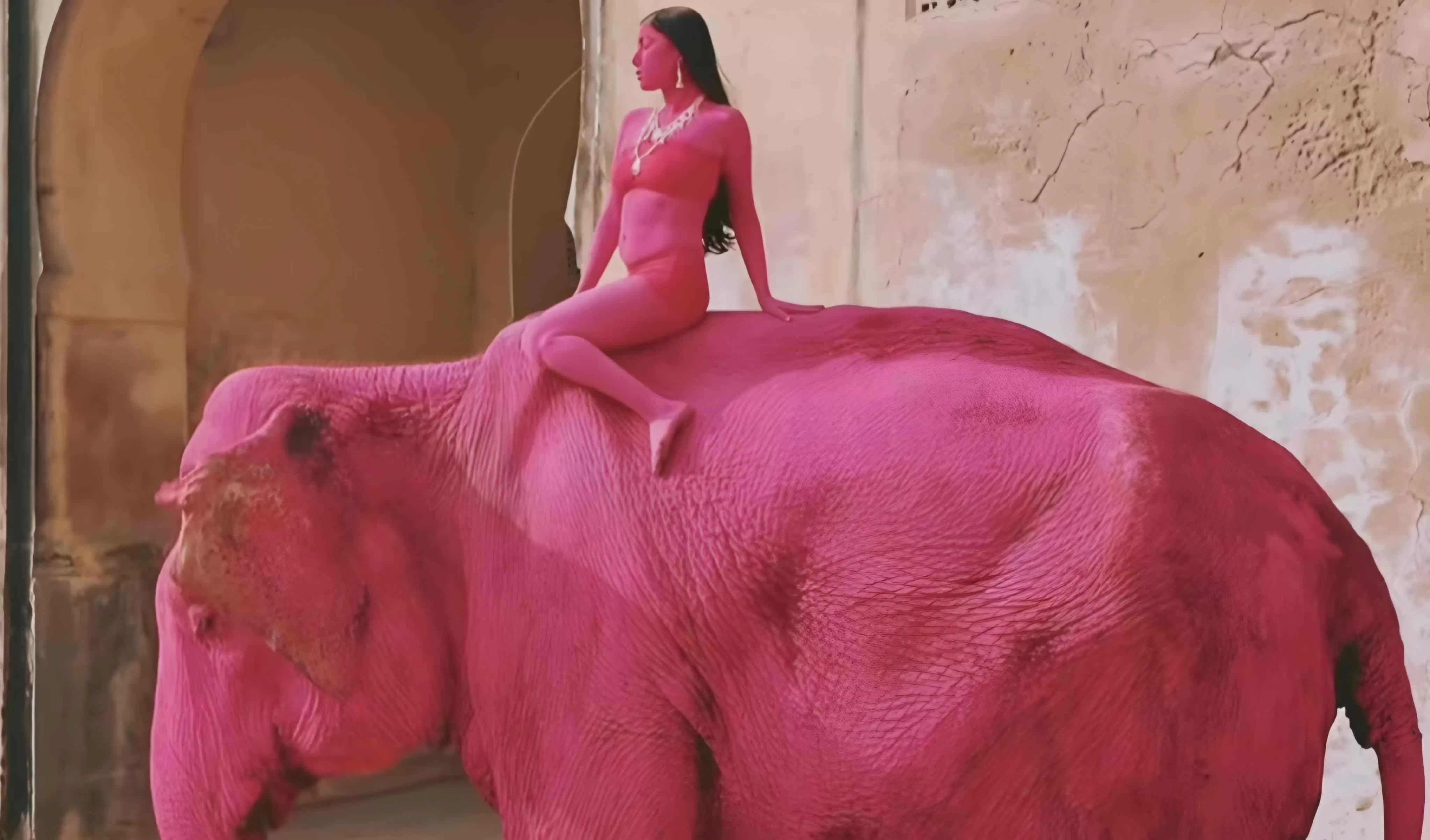 Kematian seekor gajah bernama Chanchal di Jaipur, India, menjadi sorotan publik setelah sebelumnya terlibat dalam sesi pemotretan viral dengan tubuh dicat merah muda. (Instagram/@julia.buruleva)