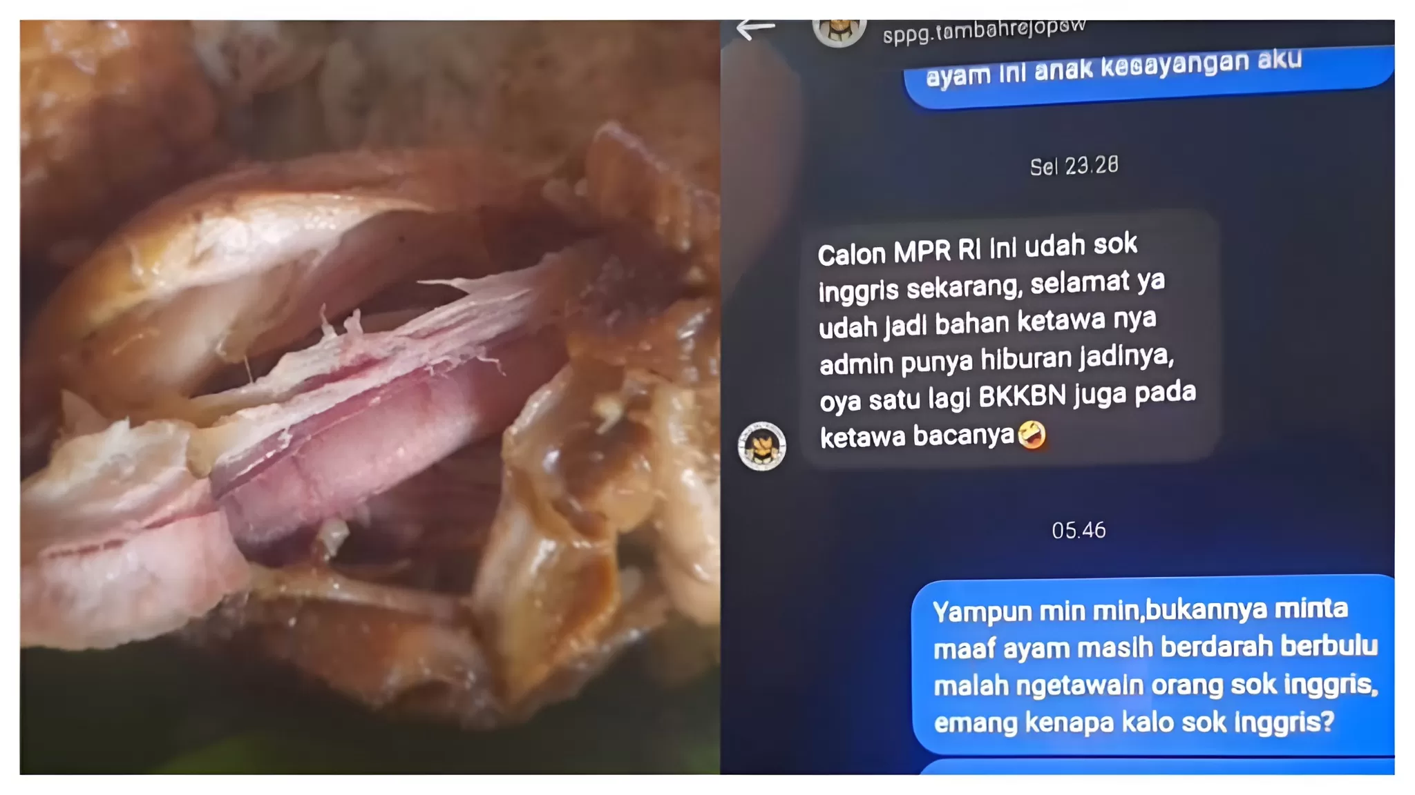 Viral balasan admin SPPG Tambahrejo Pringsewu, Lampung yang menertawakan komplain MBG. (TikTok /devianindia97)