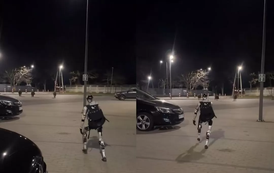 Robot Penjaga Desa Ini Usir Kawanan Babi Hutan dengan Gaya Dramatis (Instagram/edwardwarchocki)