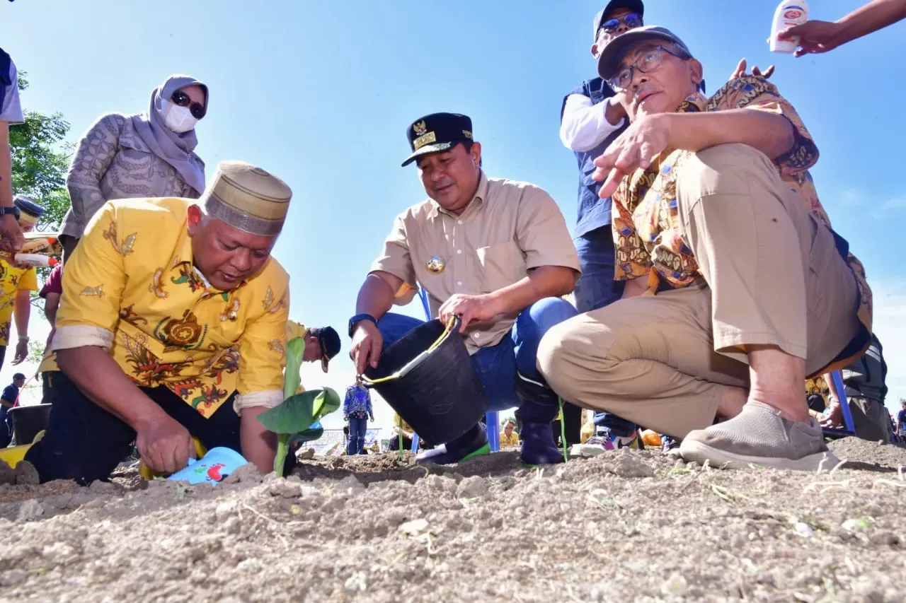 Bupati Soppeng Andi Kaswadi Razak bersama Pj Gubernur Sulsel Bahtiar Baharuddin saat menanam bibit pisang cavendish.  (Istimewa /Humas Pemprov Sulsel )