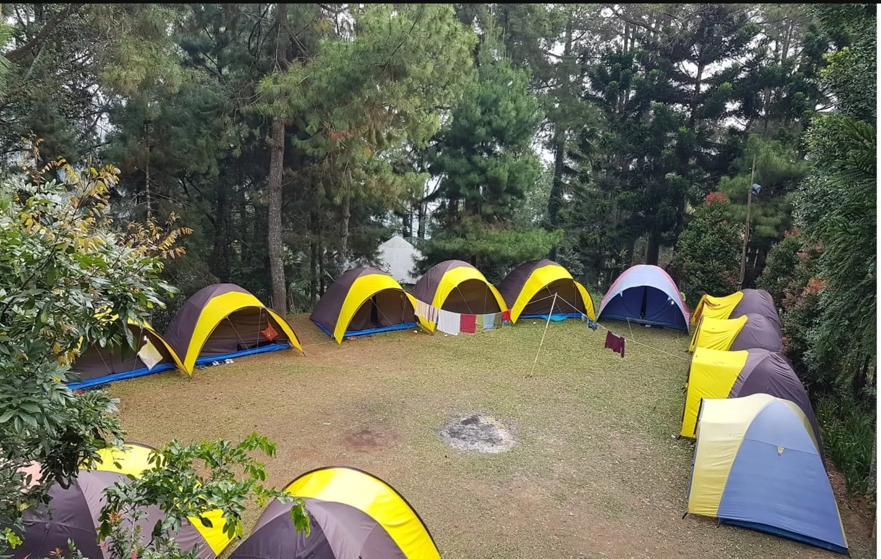 Camping Di Bogor Nggak Harus Ribet 5 Rekomendasi Camping Ground Di Bogor Yang Instagramable Dan 