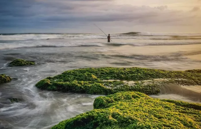 Pantai Pasur yang Punya Bentang Terpanjang Kedua di Blitar Ini Sajikan  Pesona Keindahan yang Menawan Lho - Blitar Kawentar