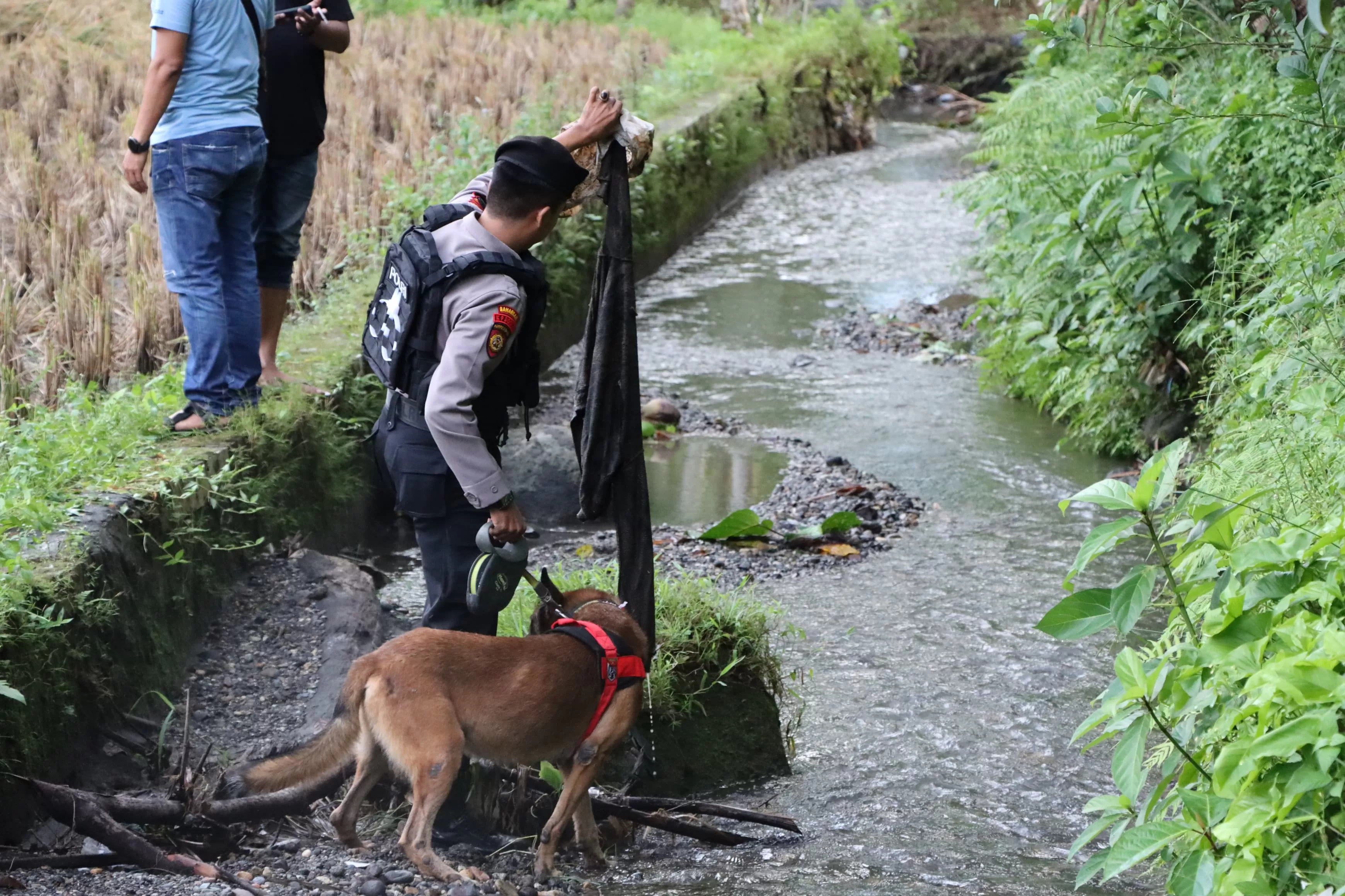 Anjing pelacak dikerahkan ke lokasi penemuan jasad gadis penjual gorengan, Nia Kurnia Sari, yang ditemukan terkubur. (DOKUMEN PRIBADI)