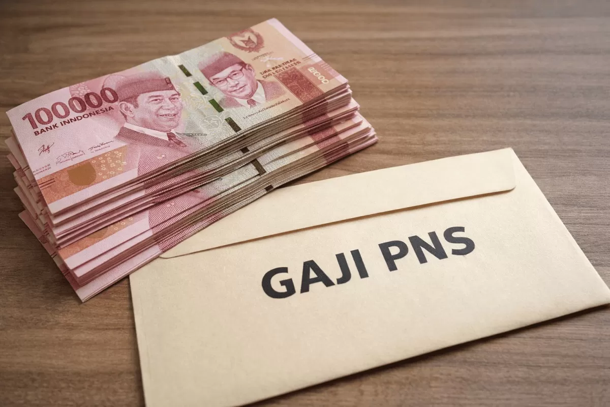 Gaji, Tunjangan, dan Dinamika Karir PPPK