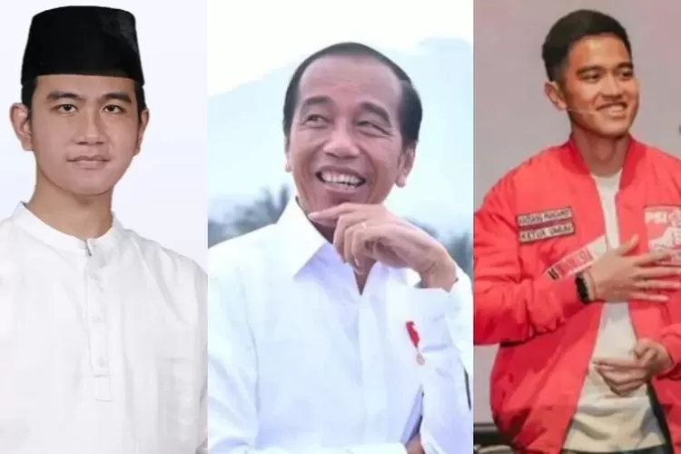 Dinasti Politik, Bahaya Dan Dampaknya Bagi Kehidupan Bernegara Dan ...