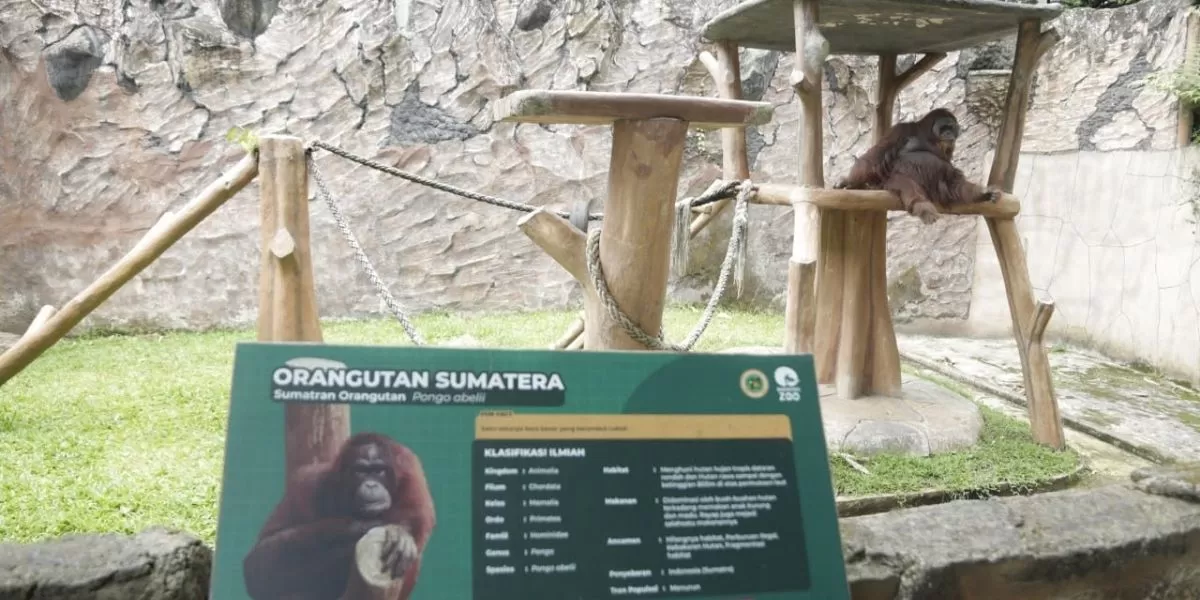 Hewan yang ada di Bandung Zoo (bandung.go.id)