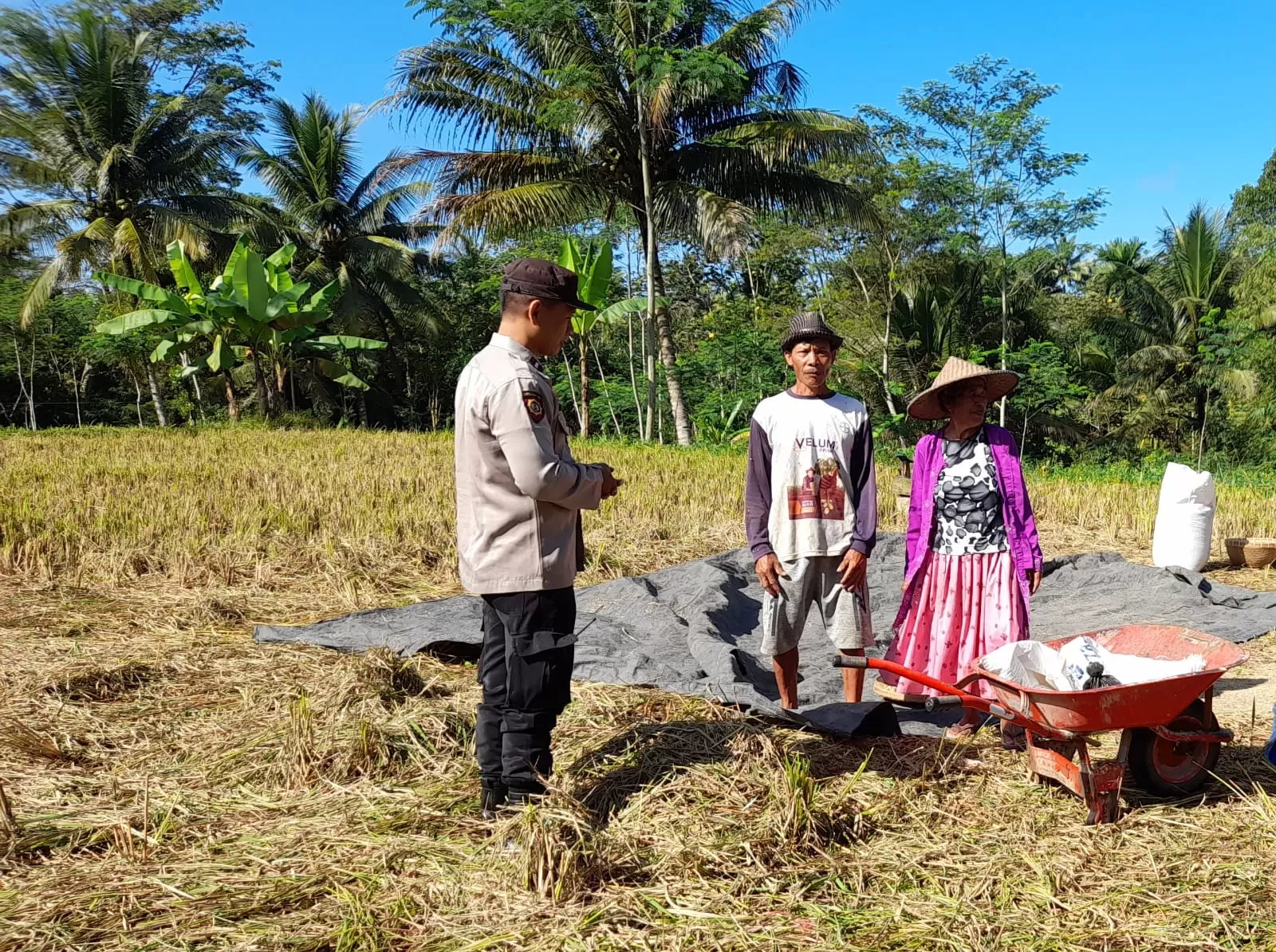 Polisi Lumajang sapa Petani Panen di Pasrujambe untuk ketahanan pangan Nasional (Harry Purwanto/Jawaheadline.com)