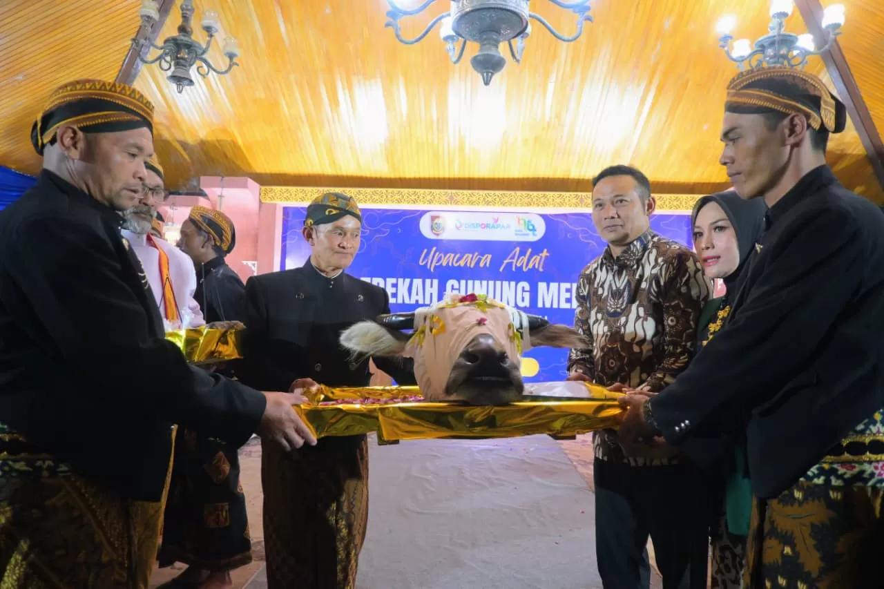 Tradisi Sedekah Gunung Merapi Boyolali, Kepala Kerbau Jadi Simbol Keselamatan Warga. (kliksolonews/dok Pemkab Boyolali)