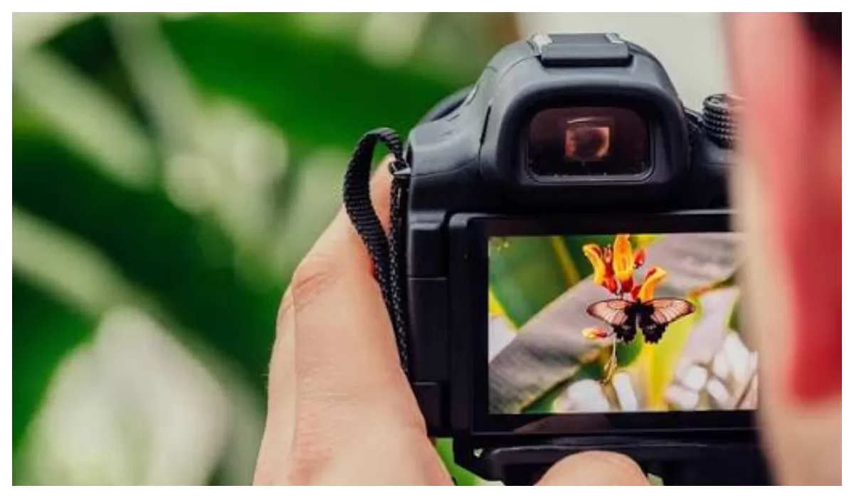 Ilustrasi fotografi (Istimewa)