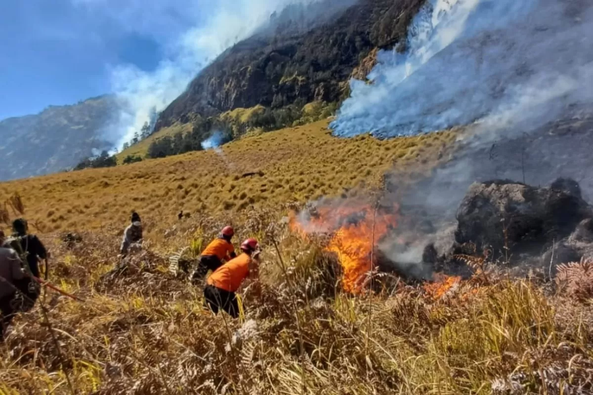 Gunung Bromo Terbakar, Api di Blok Jantur Makin Dekati Rumah Warga (Beritaonline.co - ilustrasi)