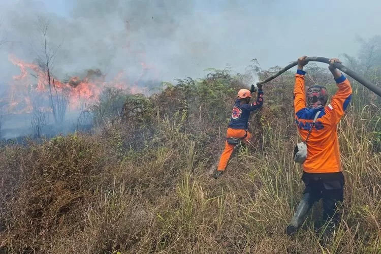Kebakaran Gunung Kawi Meluas hingga 1.534 Hektare, Petugas Terus Memantau (Beritaonline.co - ilustrasi)