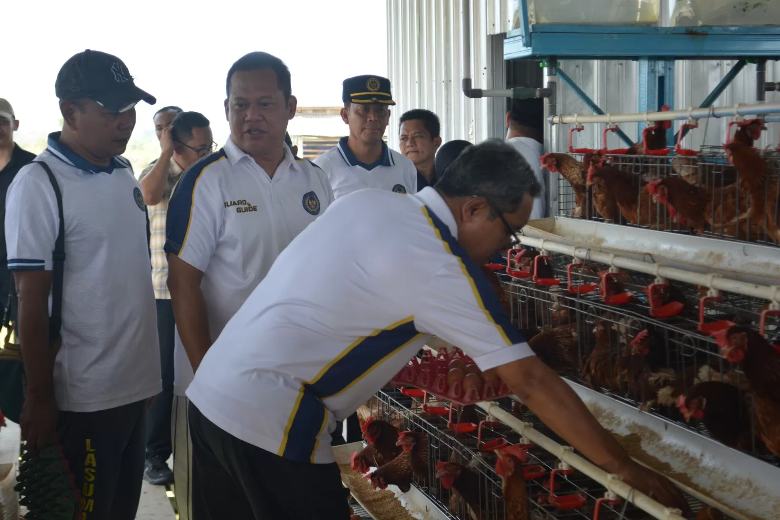 Sekjen Kementerian Imigrasi dan Pemasyarakatan Asep Kurnia melihat langsung kondisi ayam petelur di peternakan Lapas Kendal saat meninjau program pembinaan kemandirian warga binaan, Jumat (18/9/2026). (inspiratifonline.com/dok. inspira)