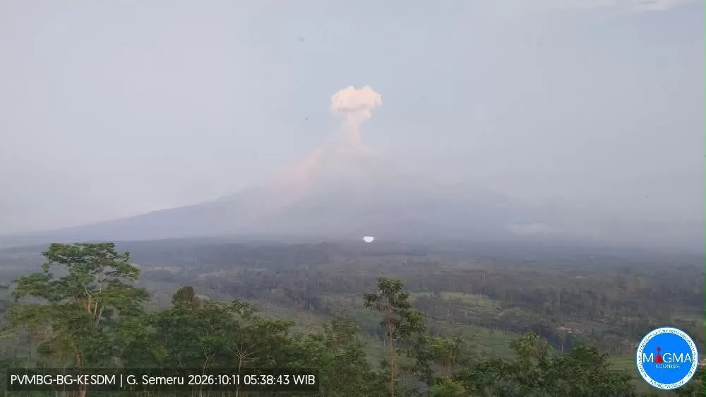Kolom abu Gunung Semeru terpantau membubung saat terjadi erupsi di Jawa Timur pada Minggu (11/10/2026). (Foto: Tangkapan layar Threads @infogempa***)