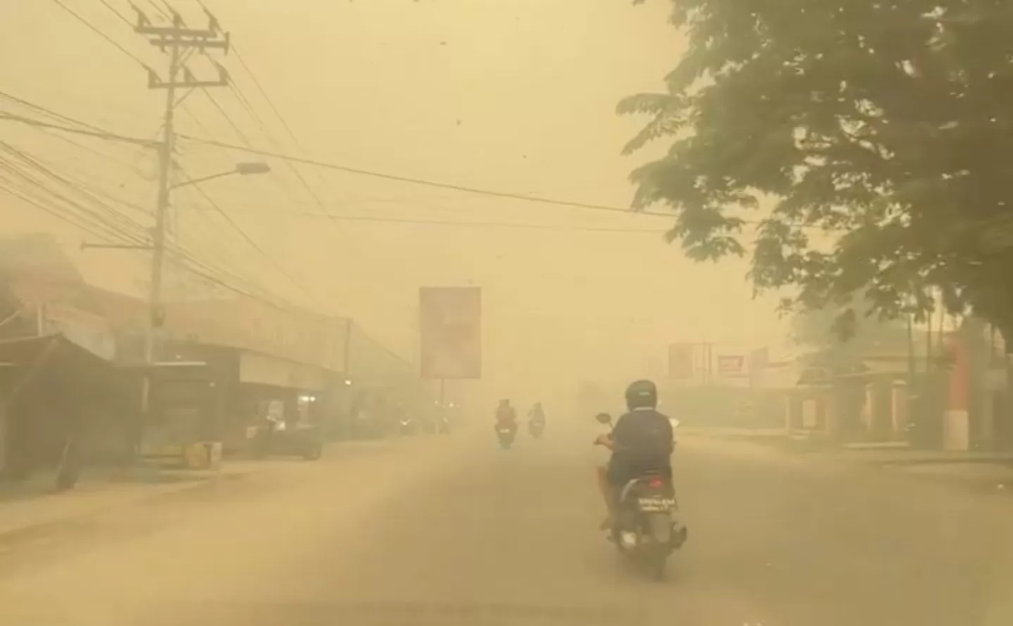Kondisi Palangka Raya, Kalimantan Tengah, sore ini di tengah kabut asap akibat kebakaran hutan dan lahan. (Foto: Threads)