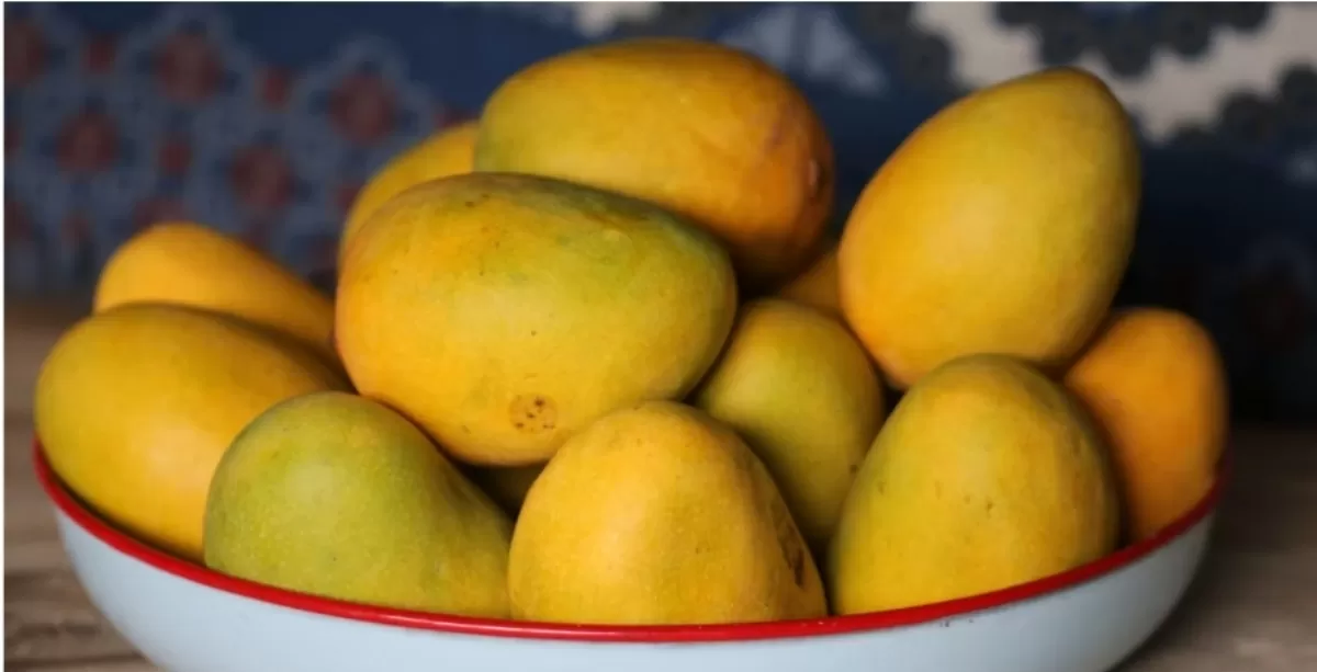 Foto ilustrasi mangga: Pemkab Situbondo perluas pasar untuk komoditas asli daerah. (Unsplash/hotchicksing)