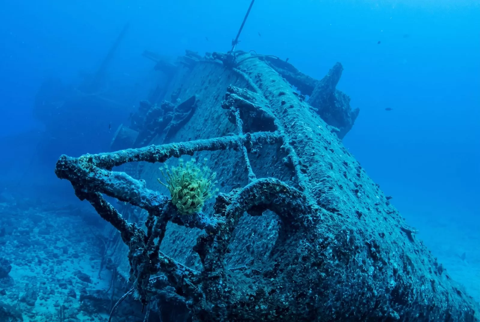 Kondisi bangkai kapal kuno dan artefak keramik yang ditemukan di dasar laut dekat Pulau Kekova, Turki. (Facebook/Marien Insiget)