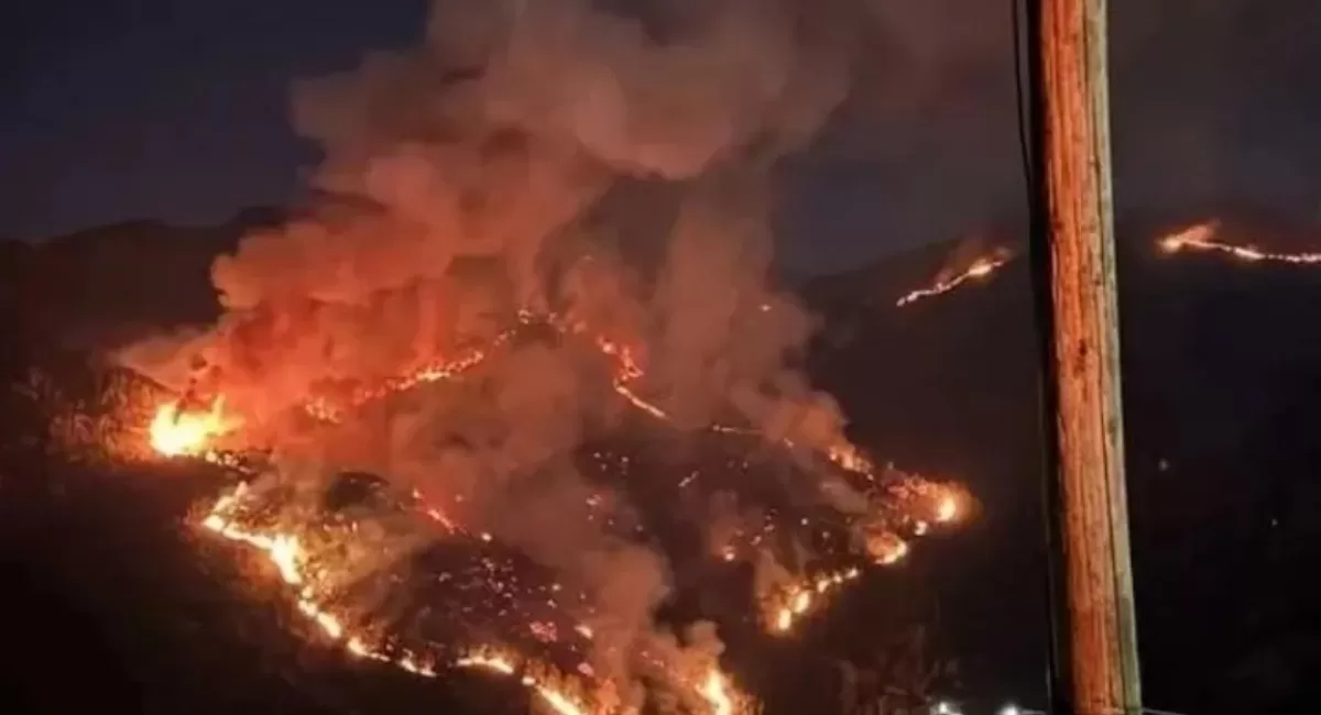 Karhutla di lereng Gunung Lawu hingga membuat Pemkab Karanganyar naikkan status jadi tanggap darurat. (Threads/zumaahmd)