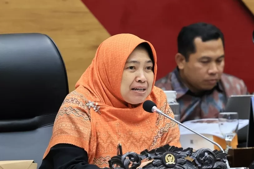 Anggota DPR RI Daerah Pemilihan DKI Jakarta II Fraksi PKS, Kurniasih Mufidayati (dok. dpr.go.id).
