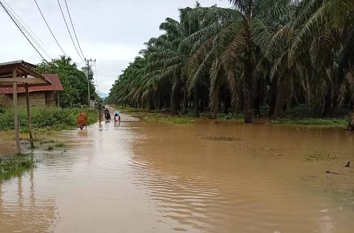 Warga melintasi jalan yang digenangan air  akibat curah hujan dengan intesitas tinggi   di salah satu desa di kabupaten Aceh Tamiang , provinsi Aceh, Senin (12/10/2026). Foto BPBD Aceh Tamiang.