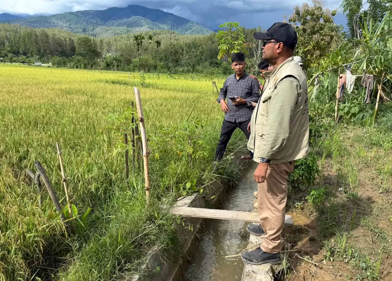Tim Satgas PRR meninjau  lahan pertanian  yang sudah ditanami padi  setelah dilakukan optimalisasi pascabencana banjir di kabupaten Gayo Lues. dok. Satgas PRR.