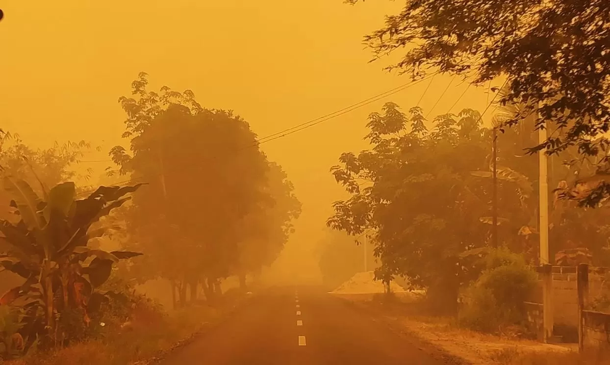Jalan di Palangka Raya diselimuti kabut asap karhutla hingga suasana siang tampak oranye. (Threads) ((Threads))