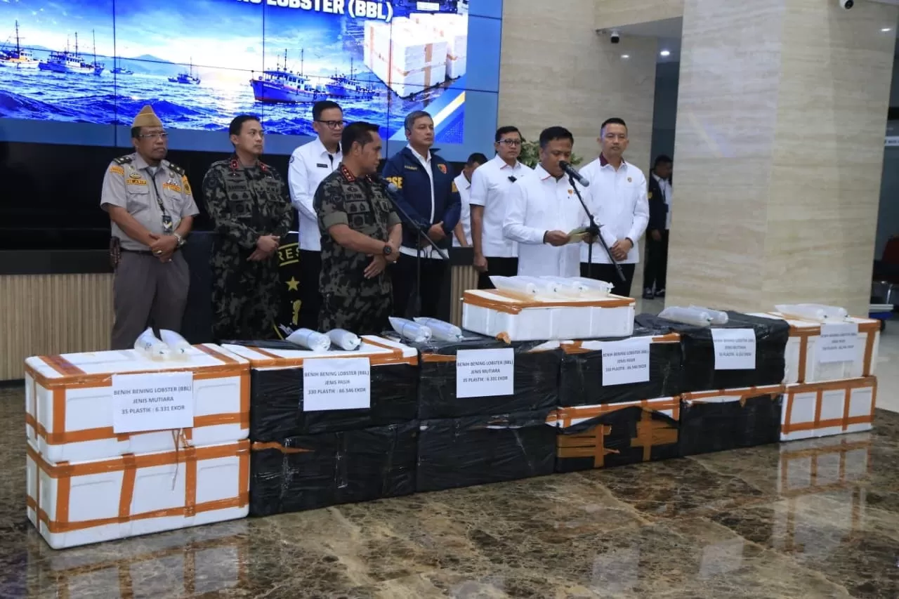 Polri menggelar barang bukti benih bening lobster yang berhasil digagalkan ke luar negeri .Foto Dok Divisi Humas Polri.   