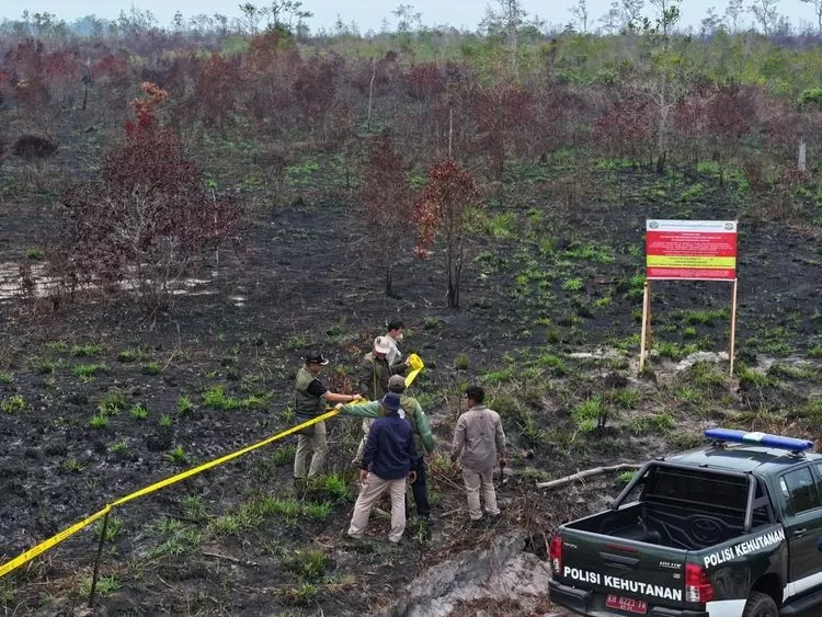 Petugas memasang garis polisi di lahan perkebunan  sebagai lapngkah tegas dalam penegakkan hukum terhadap perusahaan  dalam kasus karhutla. Foto dok kemenhut.