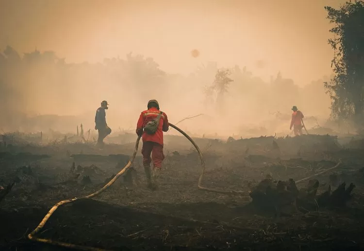 Operasi pemadaman kebakaran hutan dan lahan (karhutla) di kawasan Taman Nasional Tanjung Puting, Kalimantan Tengah.  Foto dok Biro Humas Kemenhut.
