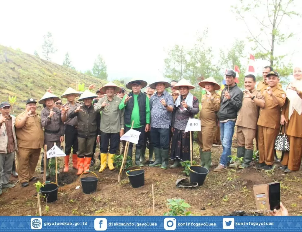 Pemerintah Kabupaten Gayo Lues  penanaman kopi perdana melalui program Gerakan Restorasi Ekonomi Kerakyatan (Geretek) Foto dok Pemkab Gayo Lues