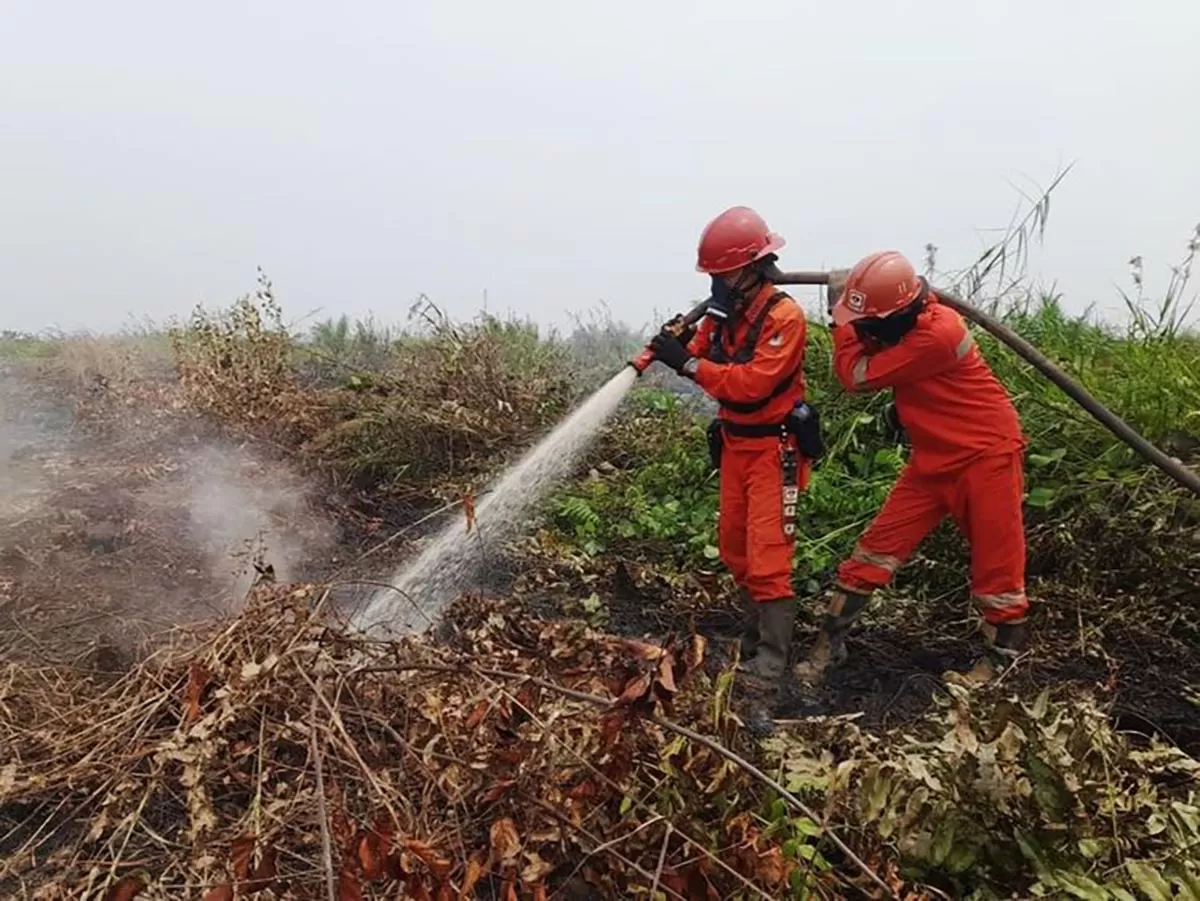 Ilustrasi : Petugas melakukan upaya pemadaman saat terjadi kebakaran hutan dan lahan (karhutla )  melalui operasi darat dan udara di wiyalah wilayah yang masih menunjukkan peningkatan hotspot dan kondisi kebakaran di wilayah Kalimantan . Foto Dok Kemenhut.
