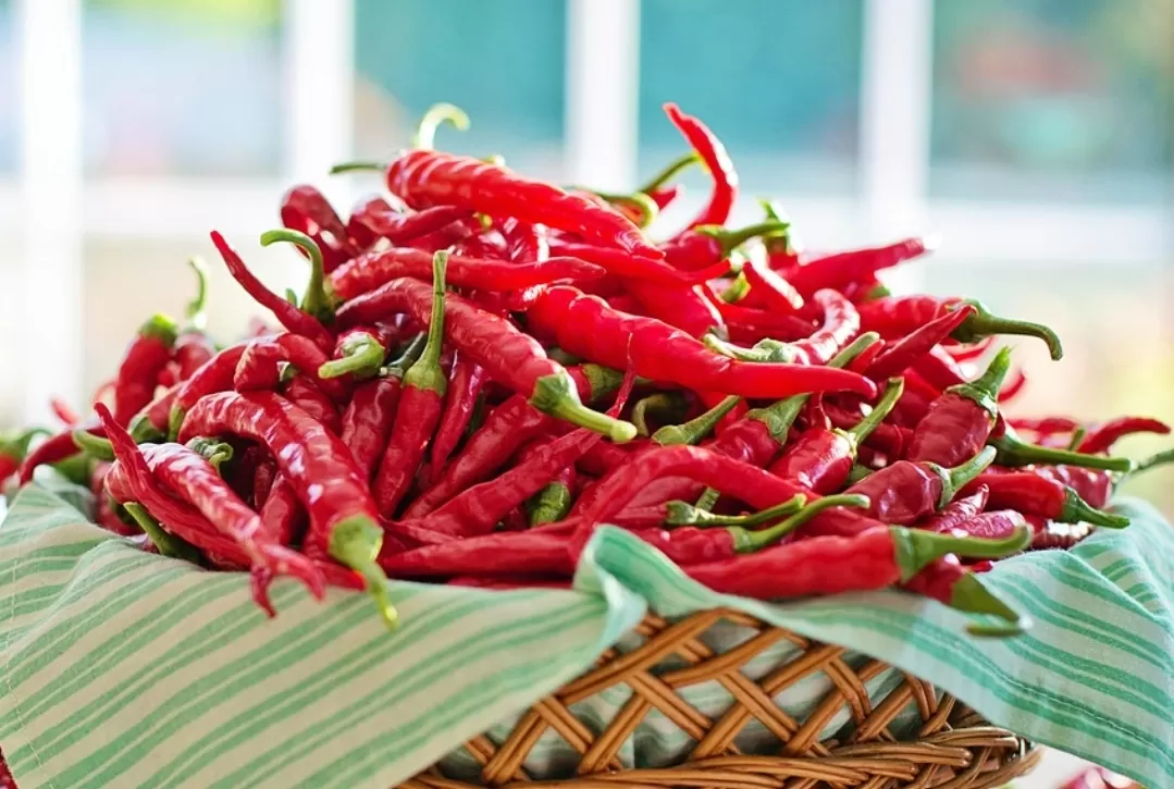 Ilustrasi Cabai Merah Besar (Pixabay)