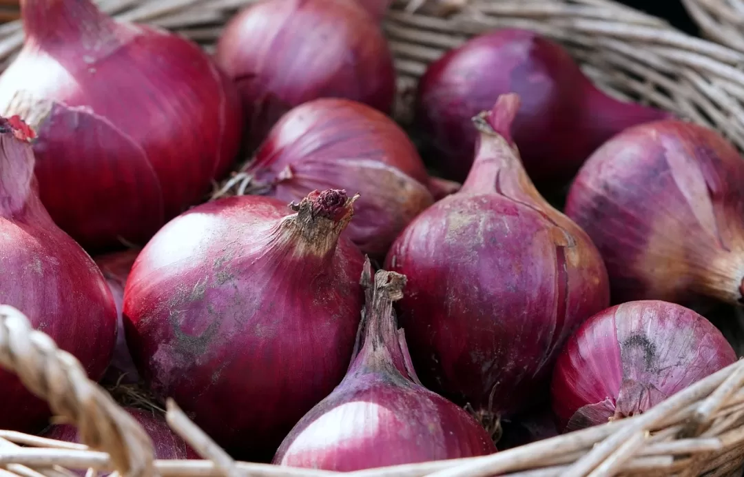 Ilustrasi bawang merah. (Pixabay)