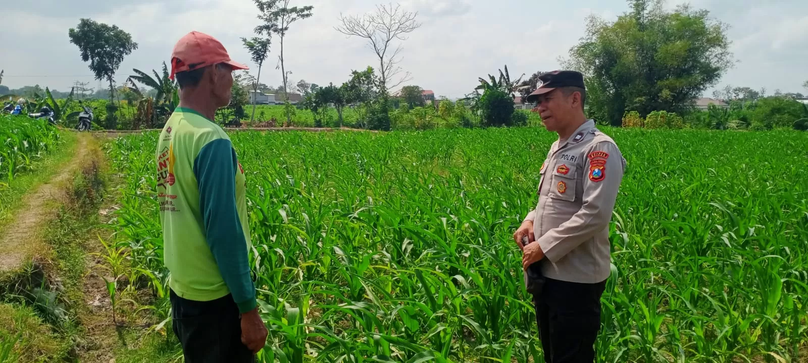 Polres Blitar Jalin Kedekatan dengan Petani Jagung  