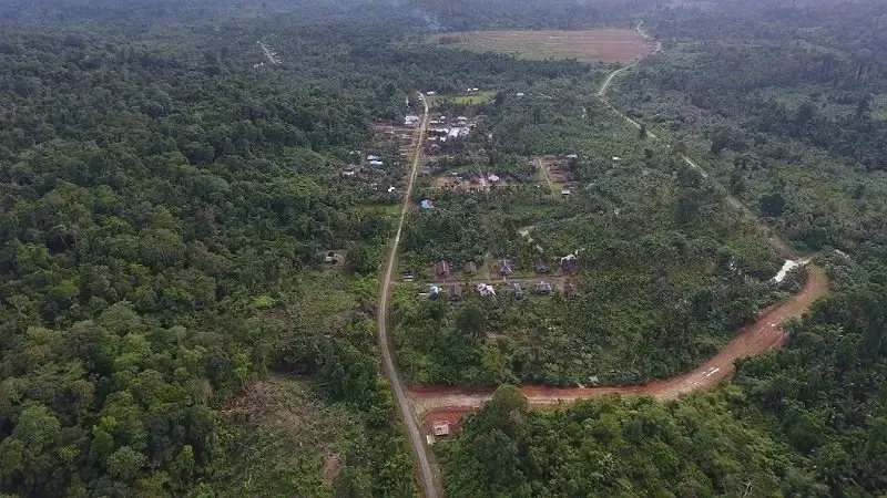 Ilustrasi Hutan (Foto: Ekuatorial)