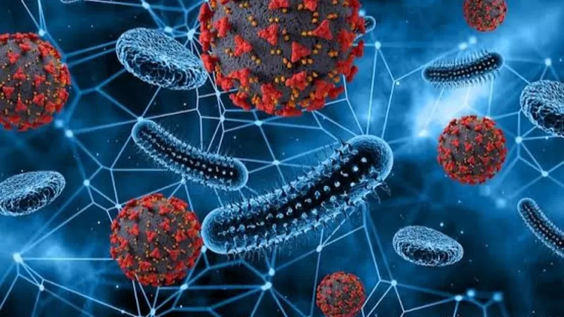 Ilustrasi Virus (Foto: Pixabay)