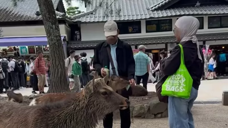 Turis WNI diduga memberi makan rusa Nara Park Jepang dengan plastik. (Foto: Threads/hezumaryuaaa)