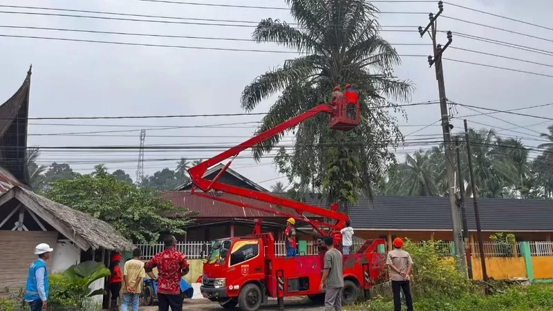 Penebangan pohon dilakukan BPBD Agam untuk antisipasi pohon tumbang menimpa sekolah. (Foto: Kominfo Agam)