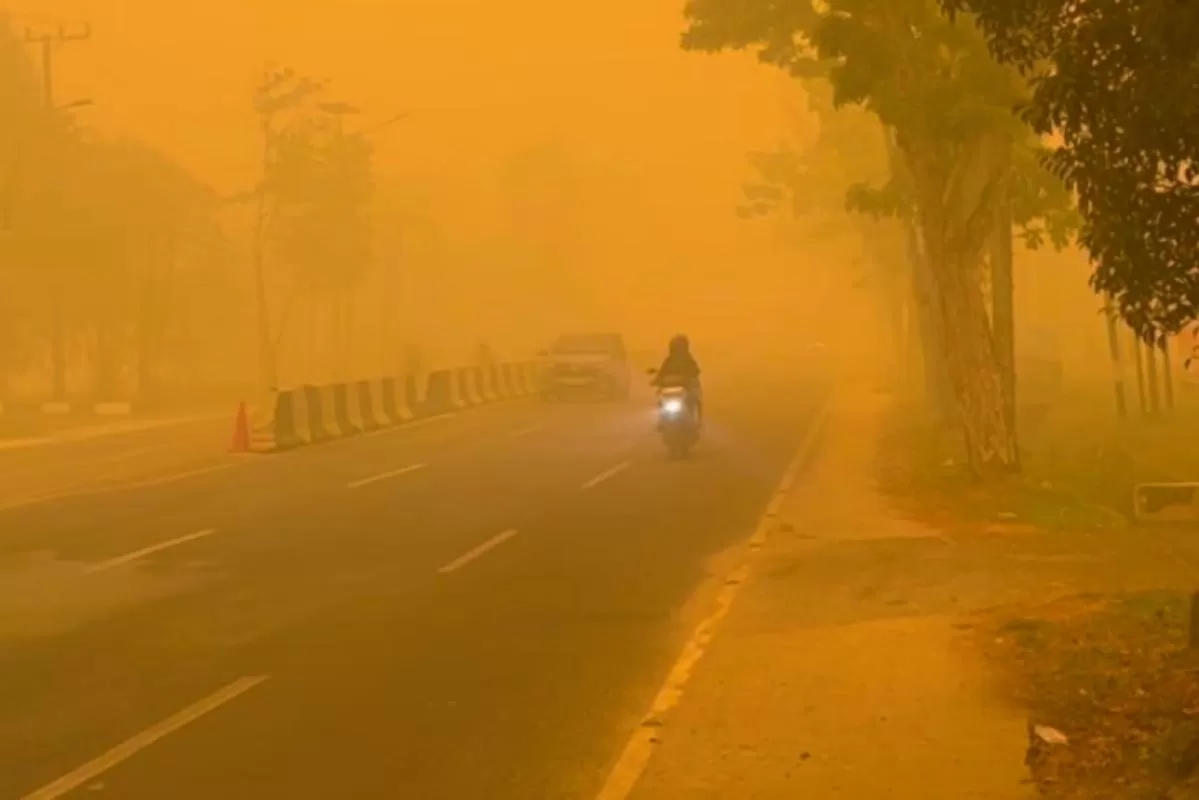 Asap kebakaran hutan dan lahan ganggu aktivitas warga/instagram @lolsptri (Lie/Promedia)