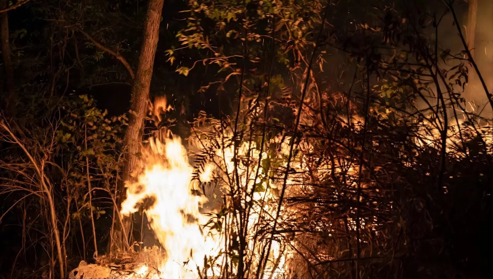 Kebakaran hutan dan lahan melanda kawasan Gunung Arjuno-Welirang. Puluhan titik api masih terdeteksi (Threads/@jeany.angela). (Lie/Promedia)
