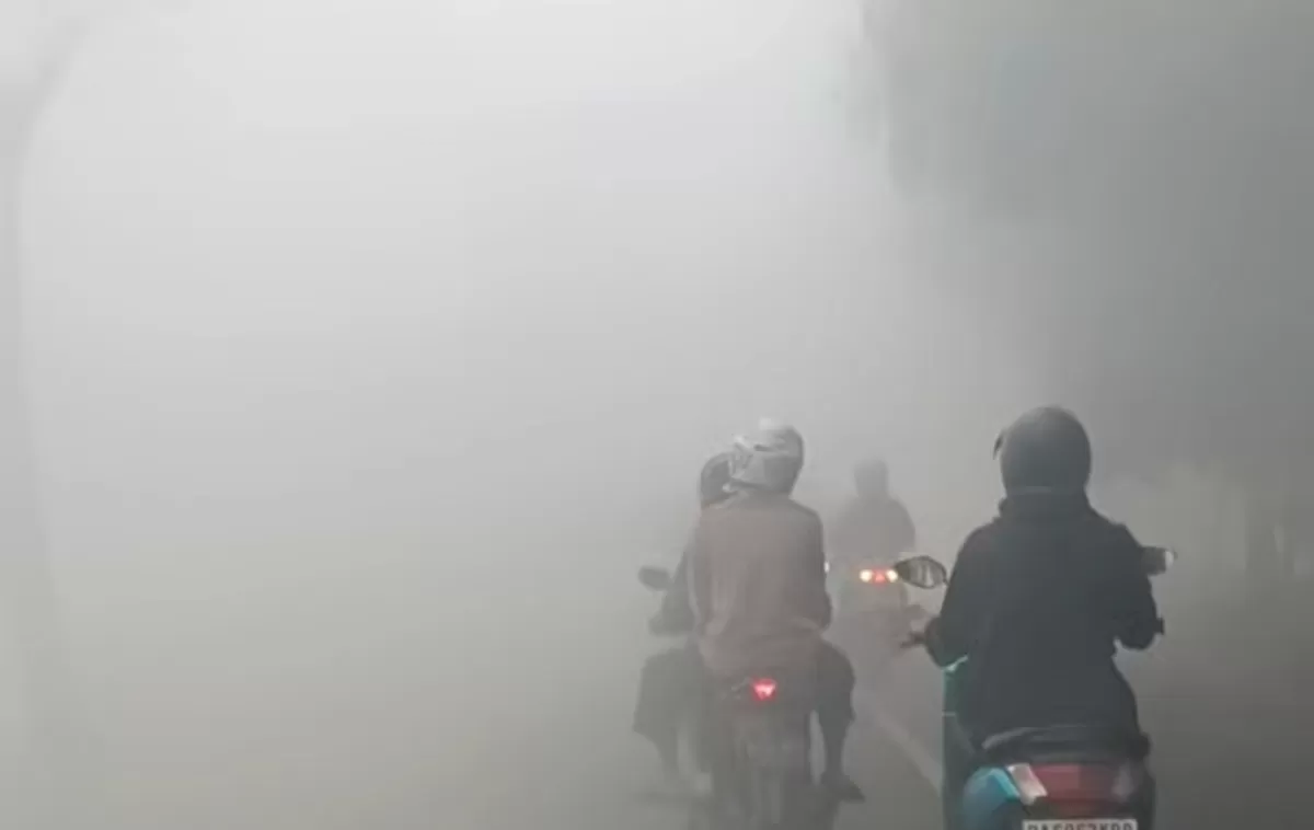 Kabut asap yang terjadi di wilayah Kabupaten Hulu Sungai Selatan, Kalimantan Selatan. (Threads/kamalnasir_) (Lie/Promdia)