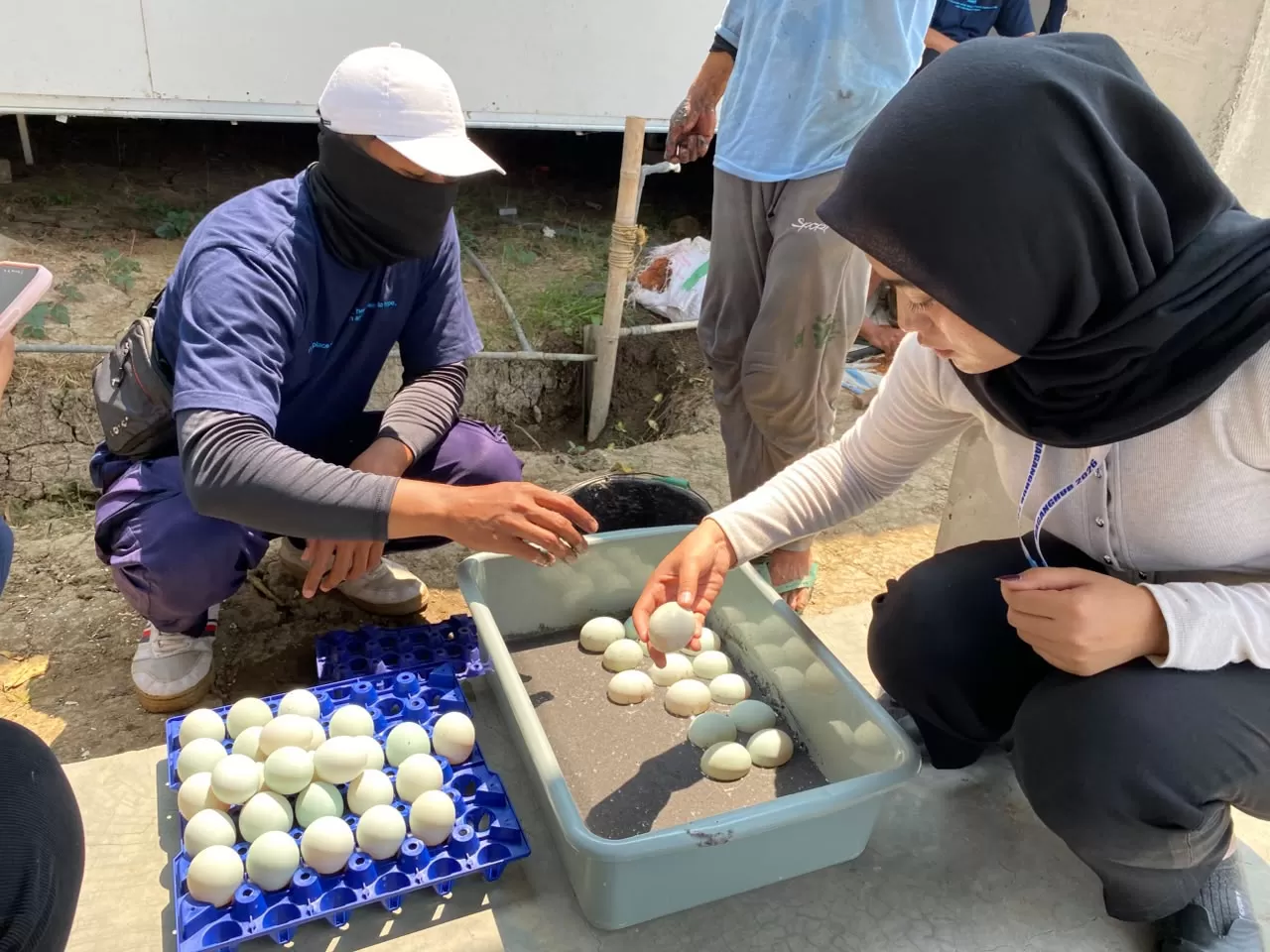 Lapas Terbuka Kendal Kembangkan Telur Asin dari Hasil Peternakan Sendiri