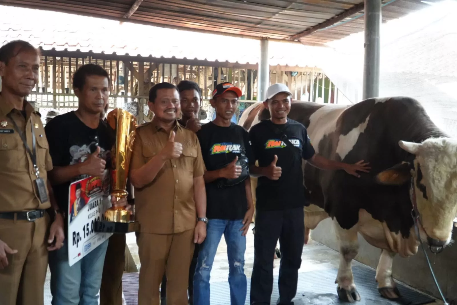 Bupati Sumedang Dony Ahmad Munir saat mengunjungi kandang sapi Robinhood yang menjadi juara Nasional. (Foto : Istimewa)