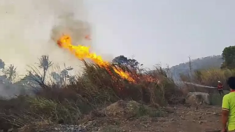 Kobaran api besar hanguskan lahan alang-alang di Cimalaka Sumedang (Upi SR)