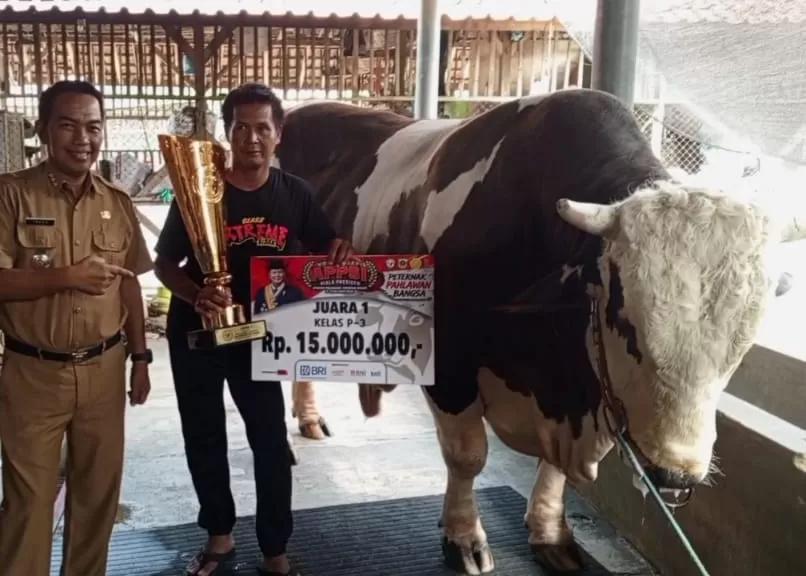 Sosok Robin Hood, Si Sapi Juara (Upi SR)