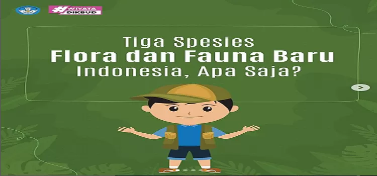 Inilah 3 (Tiga) Jenis Spesies Flora Dan Fauna Baru Yang Ditemukan Di ...